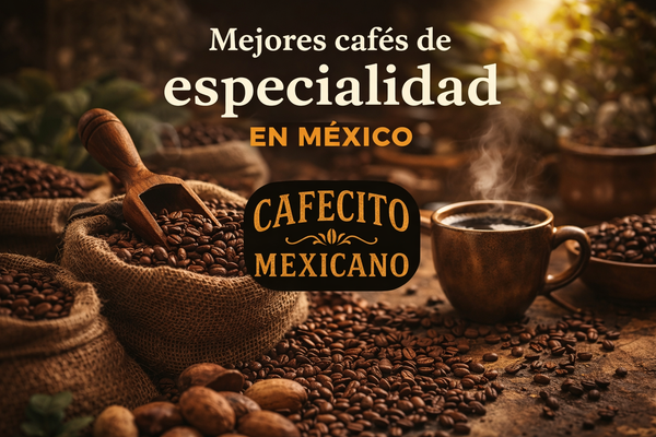 Mejores cafés de especialidad en México (2026)